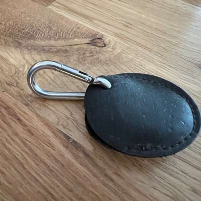 Hundemarke - verschiedene Halsbänder-Beitrag-Bild