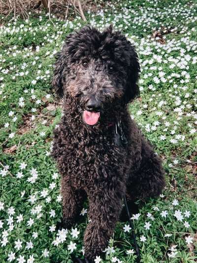 Fotochallenge 78

Es grünt und blüht-Beitrag-Bild