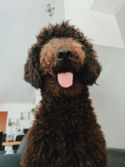 Handyfoto challenge Nr. 13: Waschlappen raus!-Beitrag-Bild