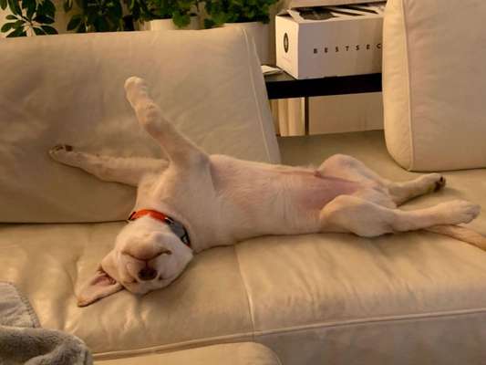 Die unbequemsten und lustigsten Schlafpositionen-Beitrag-Bild