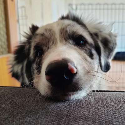 Bettel Blicke-Beitrag-Bild