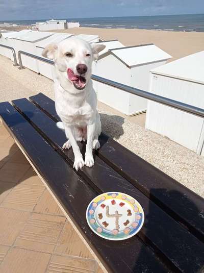 Tongue Out Tuesday-Beitrag-Bild