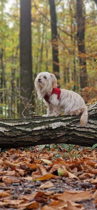 27. Handy Fotochallenge-Beitrag-Bild