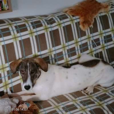 28. Handy-Fotochallenge - Damals und heute-Beitrag-Bild