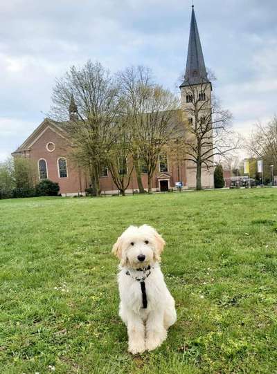 Fotochallenge No. 26                                     Wald und Wiese-Beitrag-Bild