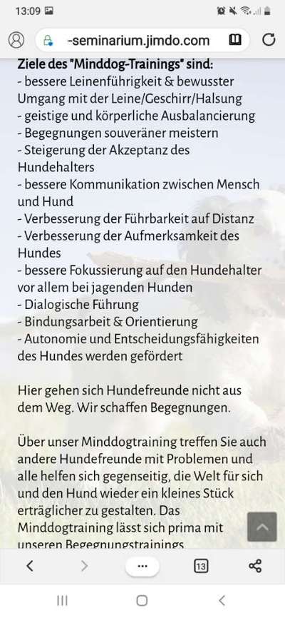 Hundeführerschein-Beitrag-Bild