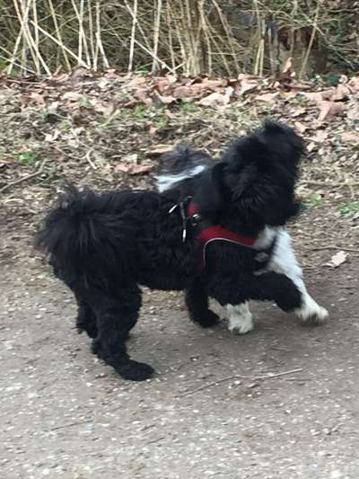 Verhalten komisch oder nicht?-Beitrag-Bild