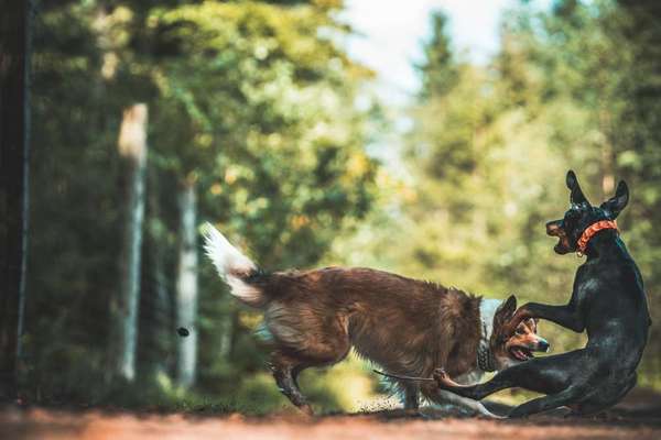 FOTO CHALLENGE Thema ,,durchdrehen"-Beitrag-Bild