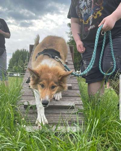 Fotochallenge Nr. 67: Euer Lieblingsbild-Beitrag-Bild