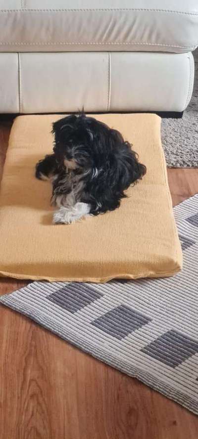 Eure Strandbilder :)-Beitrag-Bild