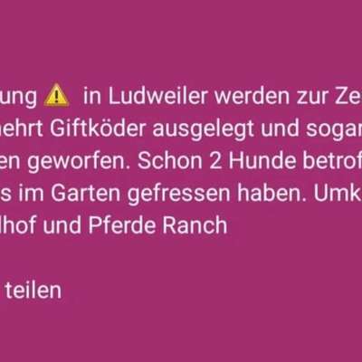 Giftköder-Mehrere Warnungen über Giftköder-Bild