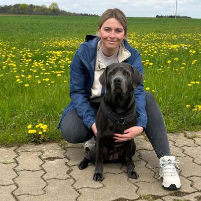 Hundetreffen-Gassi-Freunde gesucht 🐾 Oberkochen