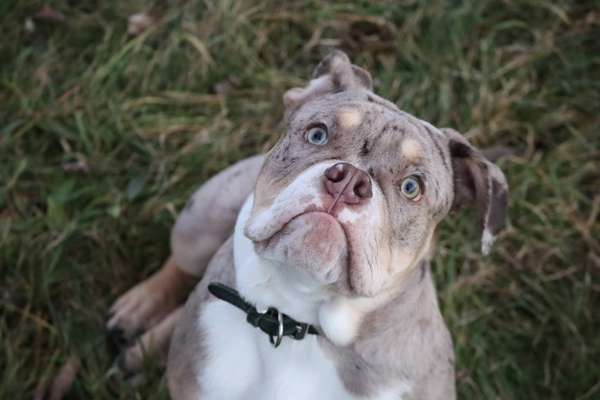 Fotochallange Nr. 57     PORTRÄT.   Beendet!!!!!!!!-Beitrag-Bild