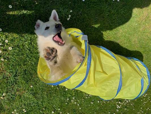 18. Collagen Challenge - Zunge raus!-Beitrag-Bild