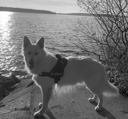 3. Farben/Fotochallenge: Schwarz/Weiß-Beitrag-Bild