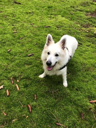 Farben Fotochallenge Thema ,,Grün"-Beitrag-Bild