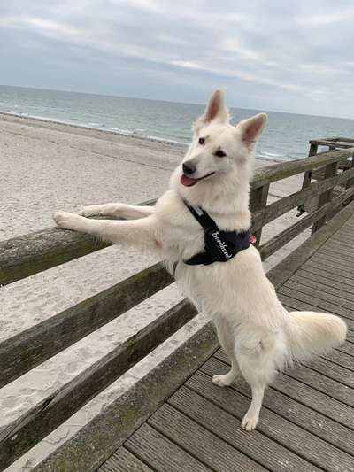 32. Collagen Challenge - eure liebsten gestellten Fotos-Beitrag-Bild