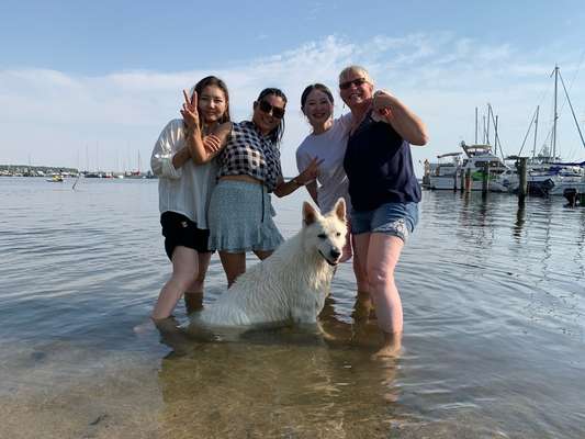 21. Collage Challenge 
Du und dein Hund-Beitrag-Bild