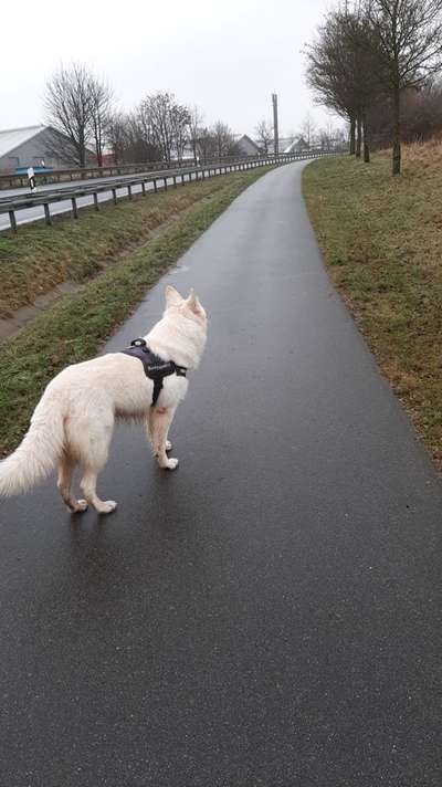 30. Collagen Challenge - Wege/Straßen-Beitrag-Bild