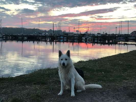 23. Collagen-Challenge: Portraits-Beitrag-Bild