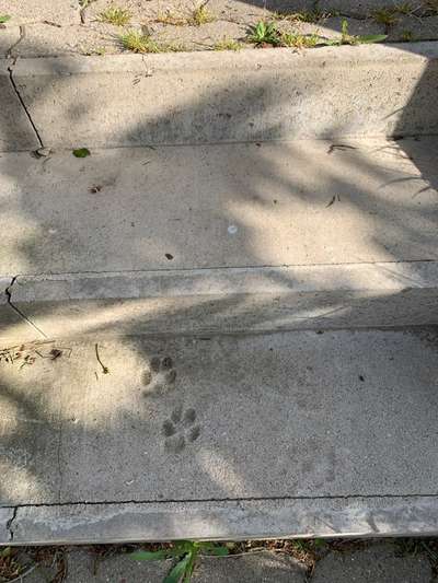 Foto Challenge Nr.135-Beitrag-Bild