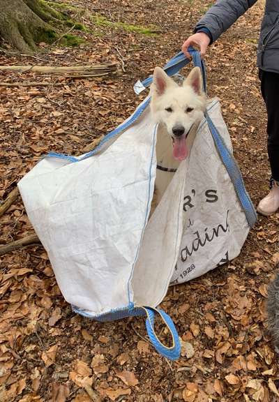 121. Fotochallenge-Beitrag-Bild