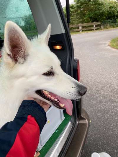 26. Collagen Challenge- Zeigt her eure Zähne-Beitrag-Bild