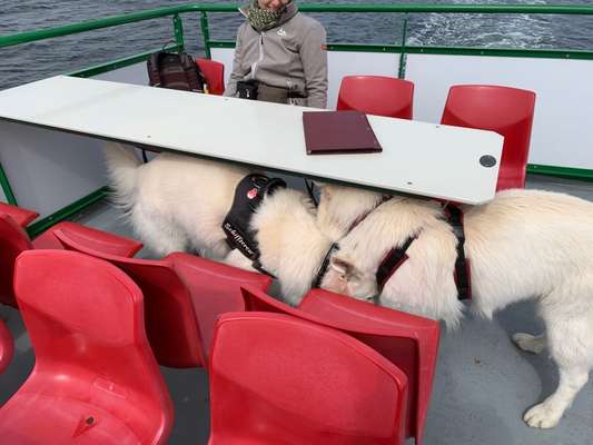 13. Kurzgeschichten Challenge - Dinner for one-Beitrag-Bild