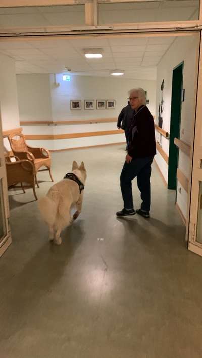 Impulskontrolle Challenge Nr.: 7
         "Gesellschaftsfähig"-Beitrag-Bild