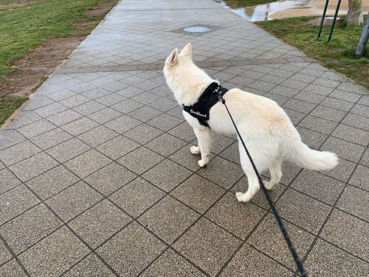 30. Collagen Challenge - Wege/Straßen-Beitrag-Bild