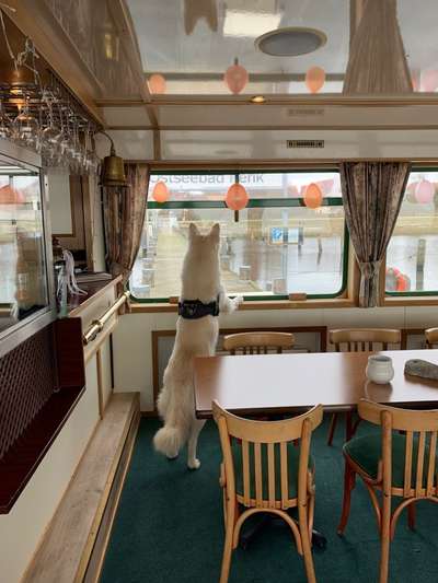 120. Fotochallenge-Beitrag-Bild