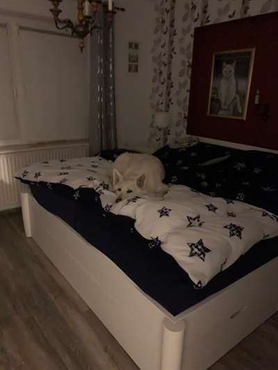 Fotochallenge 113: Auf frsicher Tat ertappt-Beitrag-Bild