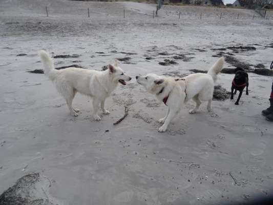 37. Collagen Challenge- Am Strand-Beitrag-Bild