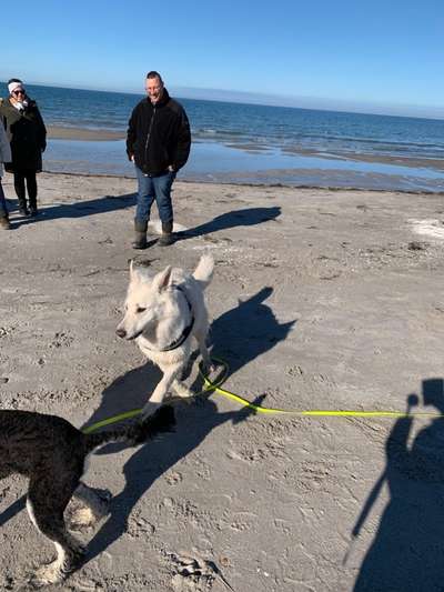 37. Collagen Challenge- Am Strand-Beitrag-Bild