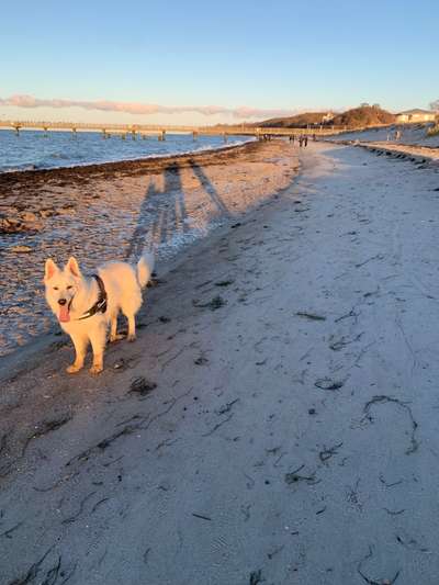 23. Collagen-Challenge: Portraits-Beitrag-Bild