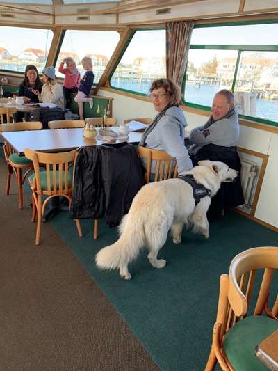 Impulskontrolle Challenge Nr.: 7
         "Gesellschaftsfähig"-Beitrag-Bild