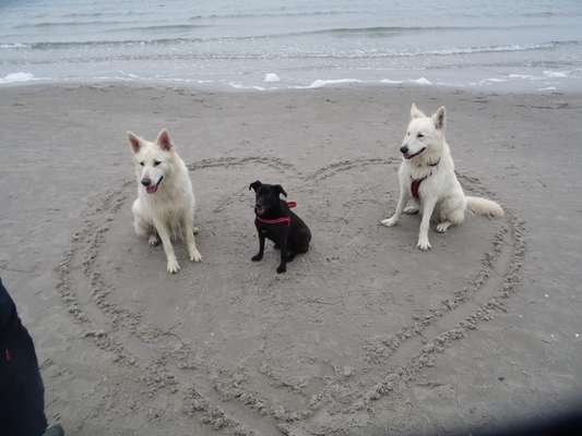 7. Kurzgeschichten Challenge: Spaziergang am Strand-Beitrag-Bild