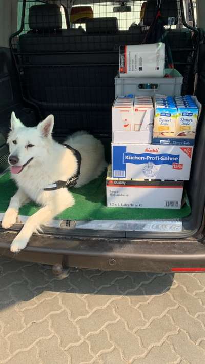 2.Kurzgeschichten Challenge Thema: Autofahren-Beitrag-Bild