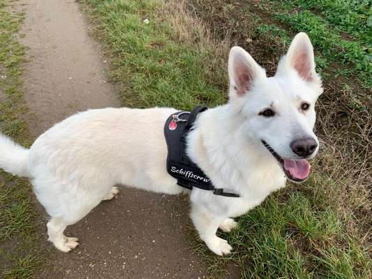 28. Handy-Fotochallenge - Damals und heute-Beitrag-Bild