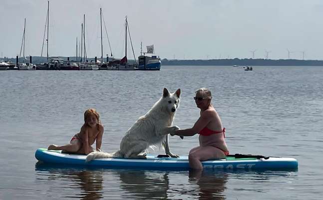 Zeigt eure schönsten Sommerbilder-Beitrag-Bild