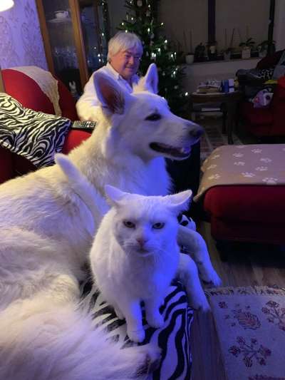 Hund und Katz Momente-Beitrag-Bild