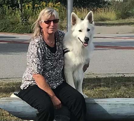 21. Collage Challenge 
Du und dein Hund-Beitrag-Bild