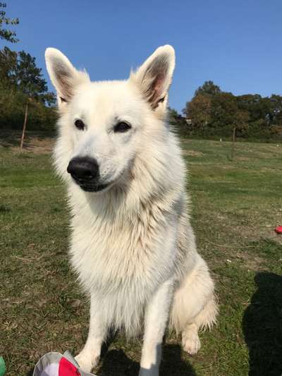 23. Collagen-Challenge: Portraits-Beitrag-Bild