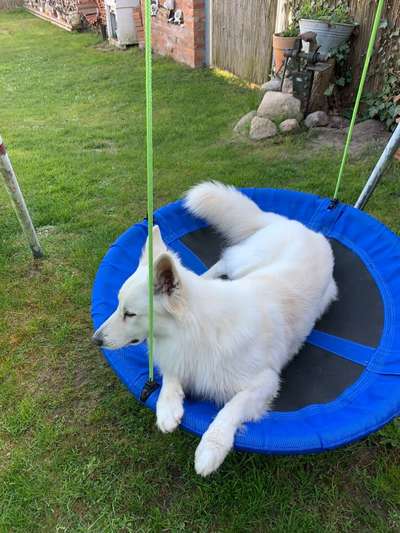 10. Farben Foto-Challenge ---- Blau-Beitrag-Bild