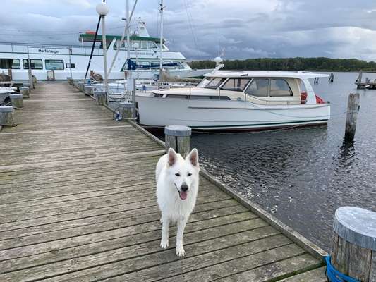 30. Collagen Challenge - Wege/Straßen-Beitrag-Bild