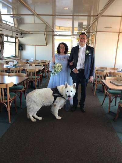 27. Collagen Challenge - Dein Hund mit Blume(n)-Beitrag-Bild