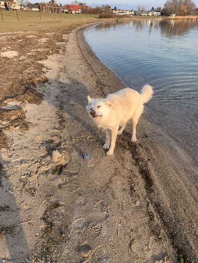 7. Kurzgeschichten Challenge: Spaziergang am Strand-Beitrag-Bild