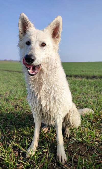 38. Collagen Challenge - "Waschlappen"-Beitrag-Bild