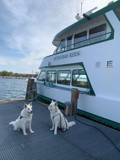 56. Handy Foto Challenge - Grosse Maschinen-Beitrag-Bild