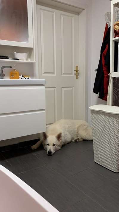 Fotochallenge 128-Beitrag-Bild